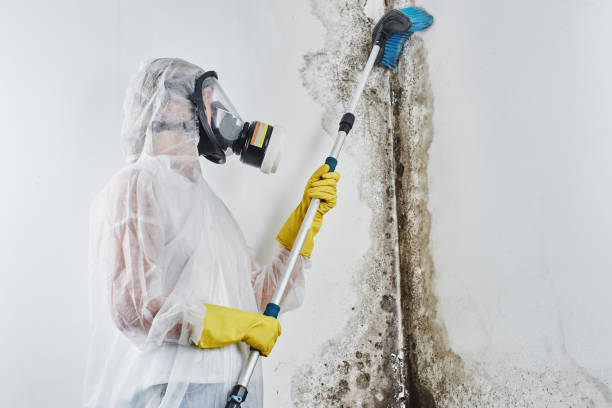 Water Damage Restoration in Phenix City, AL