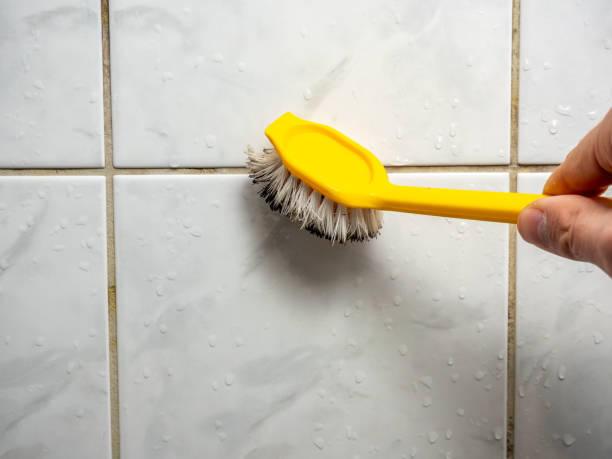 Best Local Mold Removal Service  in Phenix City, AL