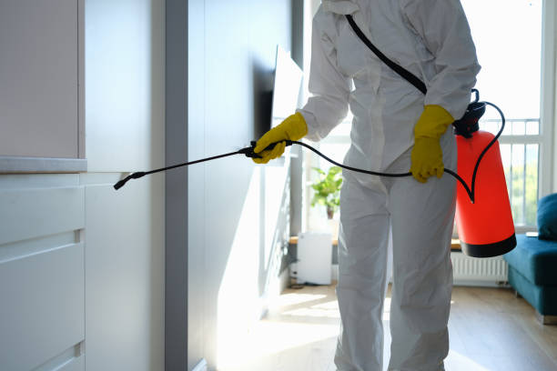 Reliable Phenix City, AL Mold Removal Solutions